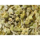 Griechischer Bergtee geschnitten