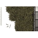 Japan Sencha Uchiyama JP-005