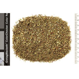 Grüner Rotbusch, pur