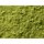 China Matcha Premium "Taishan"